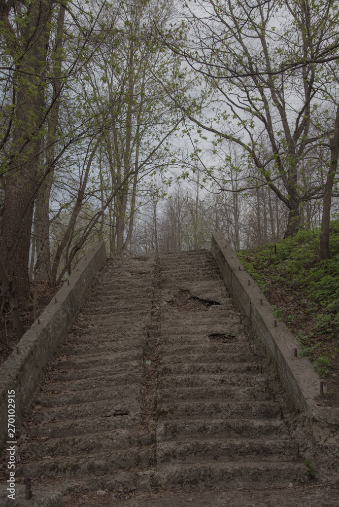 Old stairs in the park, with ruined, crumbling and grass-covered steps. Gloomy, mystical toning. Concept of devastation.