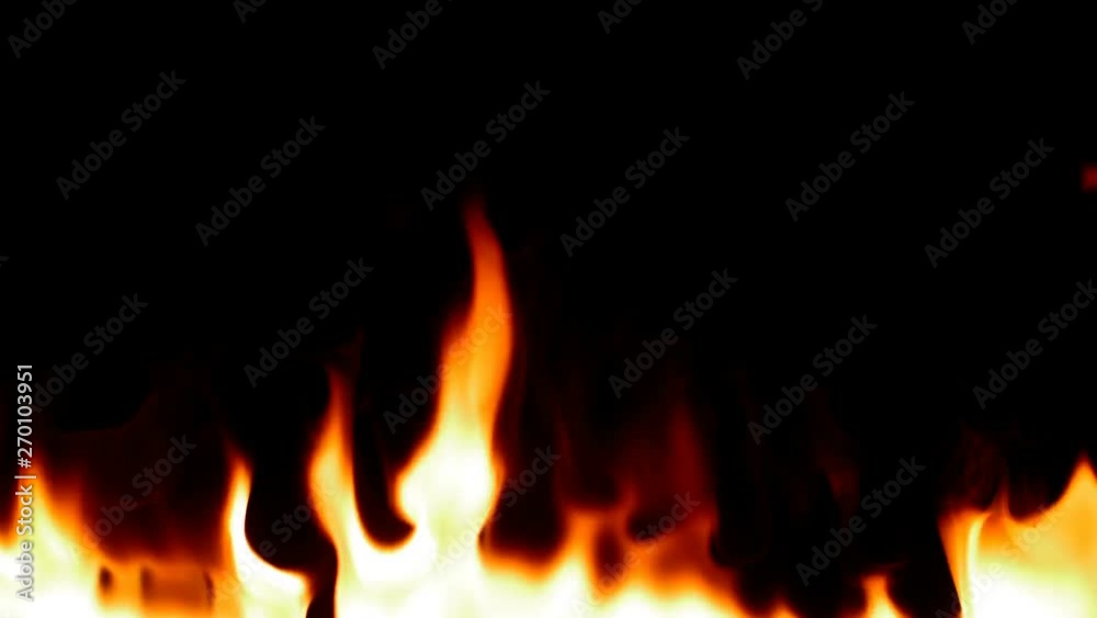 Fire Flames Igniting And Burning - Slow Motion. A line of real flames ignite on a black background. Real fire. Drop it over your current footage & composite using Add or Screen blend modes. Fire Flames Igniting And Burning - Slow Motion. A line of real flames ignite on a black background. Real fire. Drop it over your current footage & composite using Add or Screen blend modes.