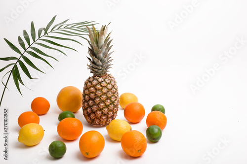 Pineapple  orange  lemon  grapefruit  lime  coconut and palm leaves on white background