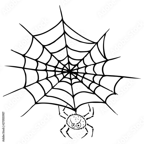 Spider on web icon. Vector illustration spider web with a spider. Net, web, spider hand drawn.