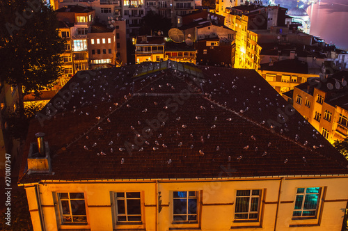 A lot of seagulls on the roof in the night, Istanbul