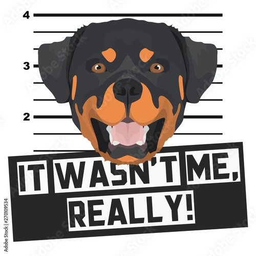 Mugshot Polizeifoto Rottweiler