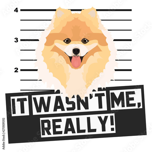 Mugshot Polizeifoto Chow-Chow