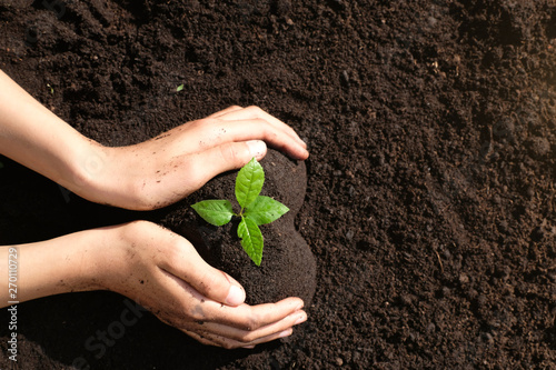 High angle view close up  two hands holding one young seedling  in heart shape soil. Environmental awareness, planting trees project, save earth and secure the future for children and next generation.
