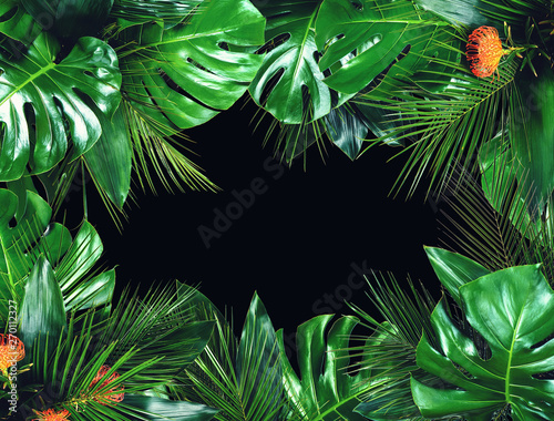 Fototapeta Naklejka Na Ścianę i Meble -  Close up of bouquets of various dark green fresh tropical leaves isolated on black background with clipping path. Design template. Frame with copy space for text.