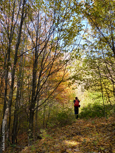 Backpacker walking through the fallen leaves in the woods in autumn
