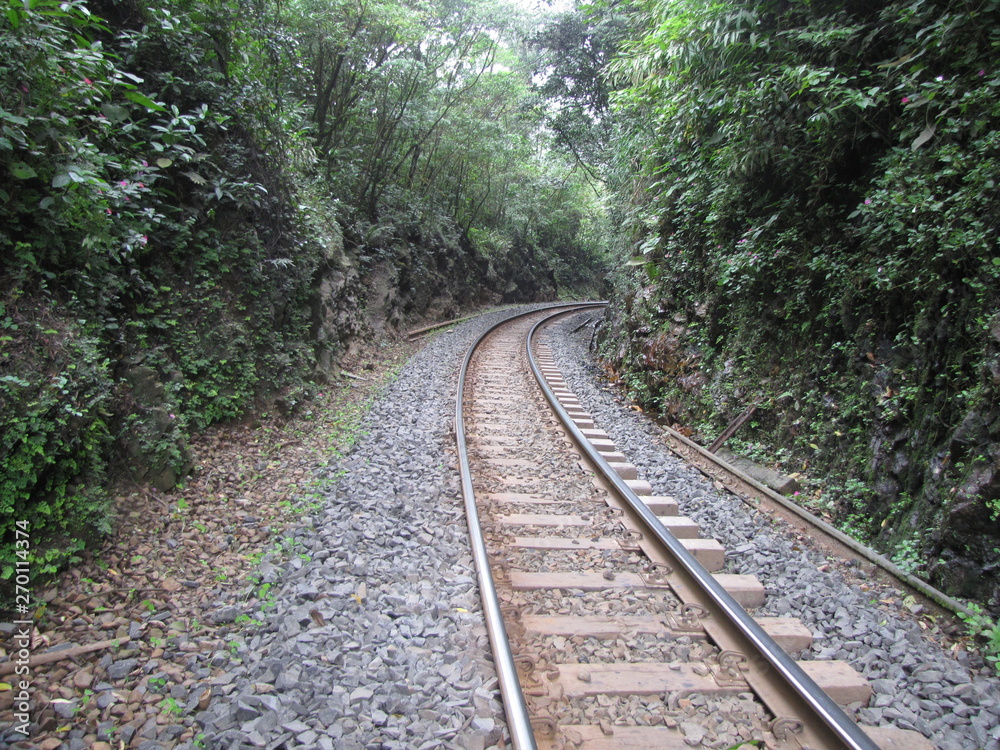 Fototapeta premium trilhos de trem