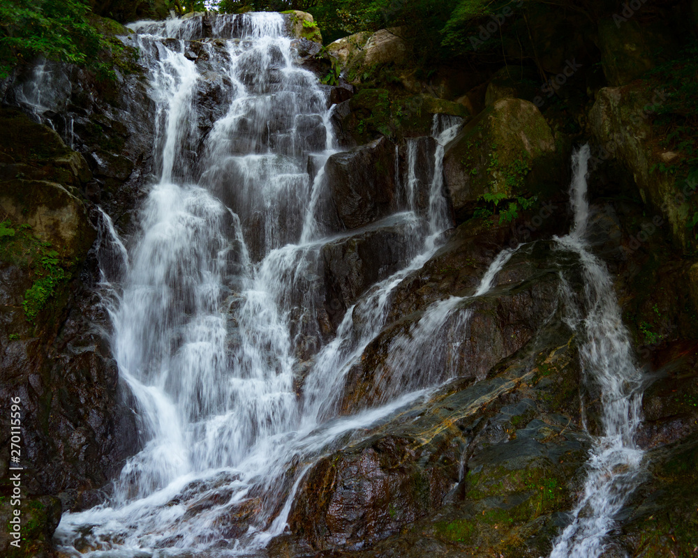 Fototapeta premium White Waterfall in Japan 