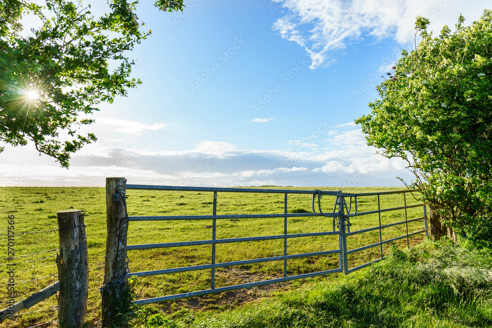 Fence and closed gate surrounding a country meadow on a sunny summer day Fence and closed gate surrounding a country meadow on a sunny summer day
