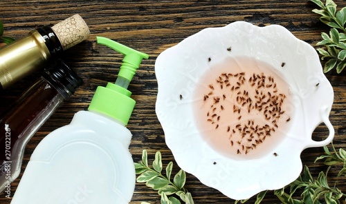 Getting Rid of Gnats in Your House. get rid of the kitchen midge. recipe home traps. add wine or wine vinegar in a bowl and a few drops of soap. set instead of clusters.