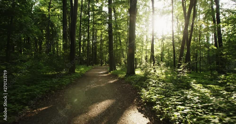 Slow motion POV shot of a person walking through a forest or a park with green leaves and sun shining through the foliage.