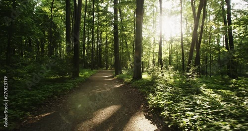 Slow motion POV shot of a person walking through a forest or a park with green leaves and sun shining through the foliage. photo