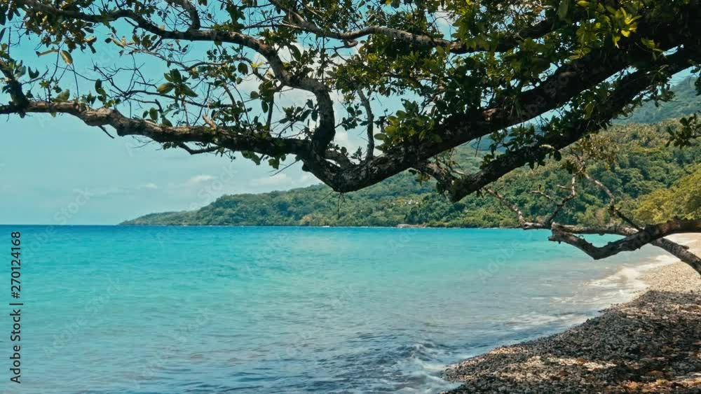 pristine rocky sea ocean shore beach with tropical trees and deep blue azure water pristine rocky sea ocean shore beach with tropical trees and deep blue azure water