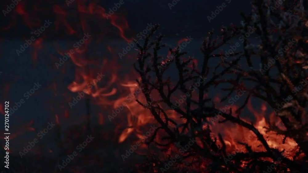 fire on black background Turkey fire on black background Turkey