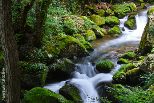 鏡野・白賀渓谷