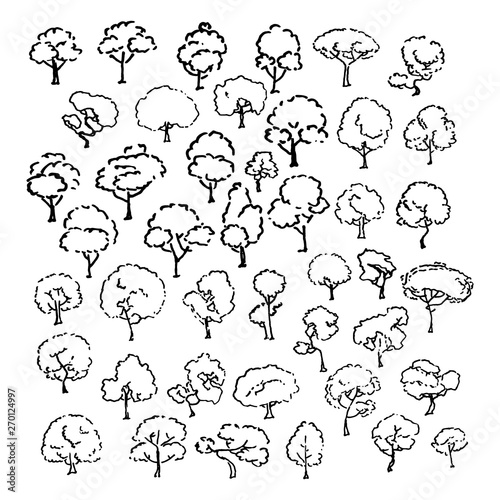 Trees sketch set, cartoon vintage illustration, ink draw engraved style, hand drawn isolates