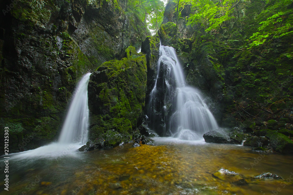 Fototapeta premium 山乗渓谷・不動滝