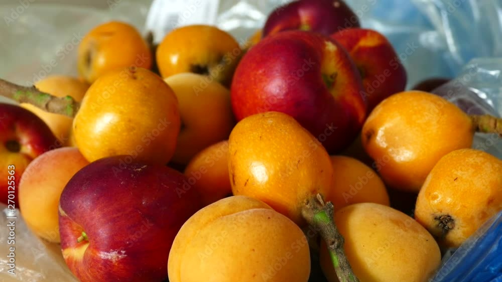 summer fruits, Japanese medlar fruit, apricot, nectarine, together, summer fruits, Japanese medlar fruit, apricot, nectarine, together,