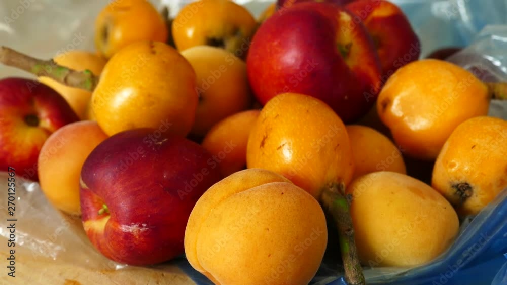 summer fruits, Japanese medlar fruit, apricot, nectarine, together, summer fruits, Japanese medlar fruit, apricot, nectarine, together,