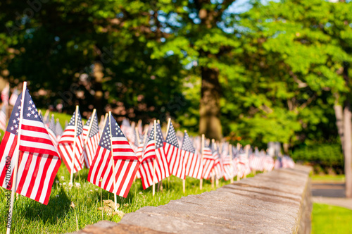 Memorial Day. Small American flags on a green grass in park.