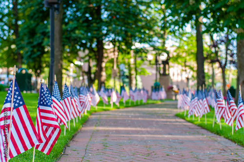 American flags spread on lawn of public park as part of Memorial Day celebration.