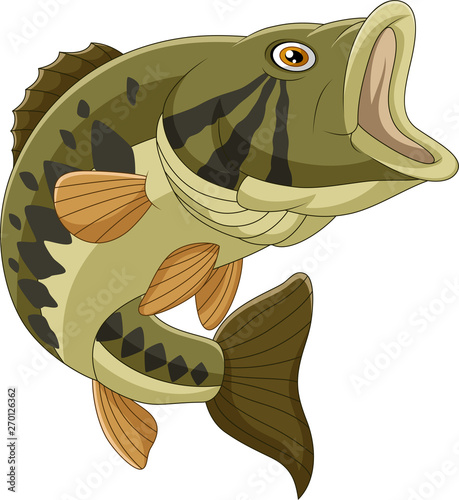 Cartoon bass fish isolated on white background