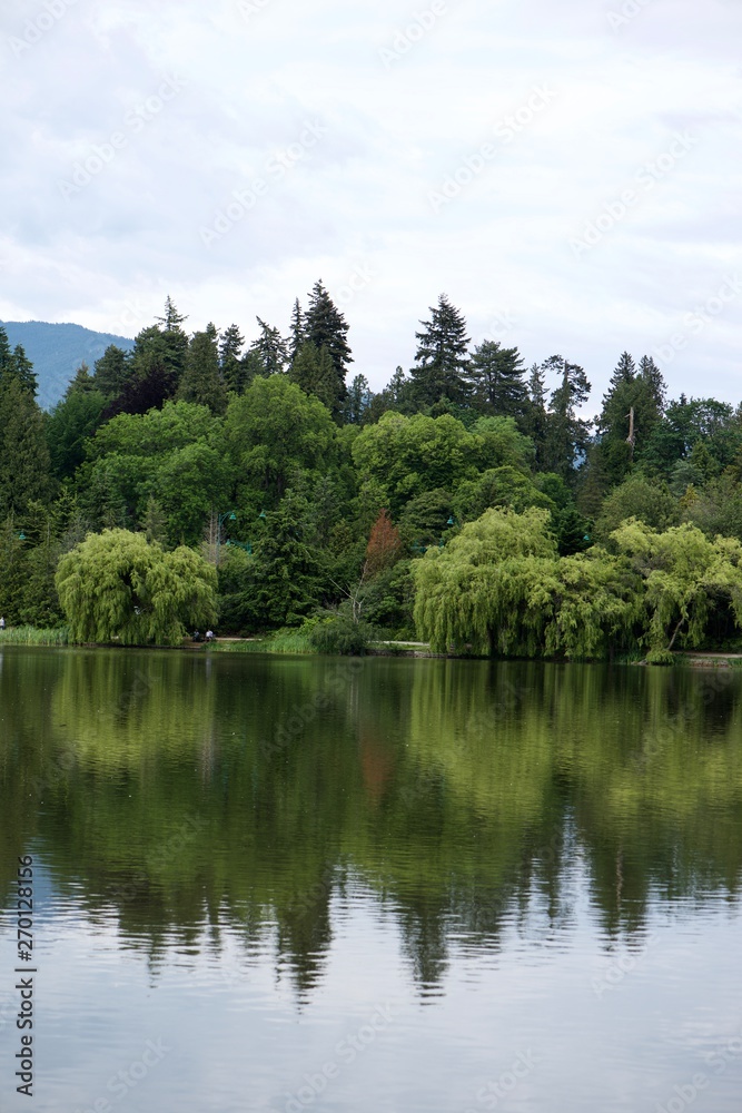 Obraz premium lake in the forest