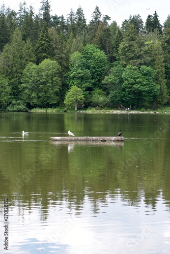 boat on the lake