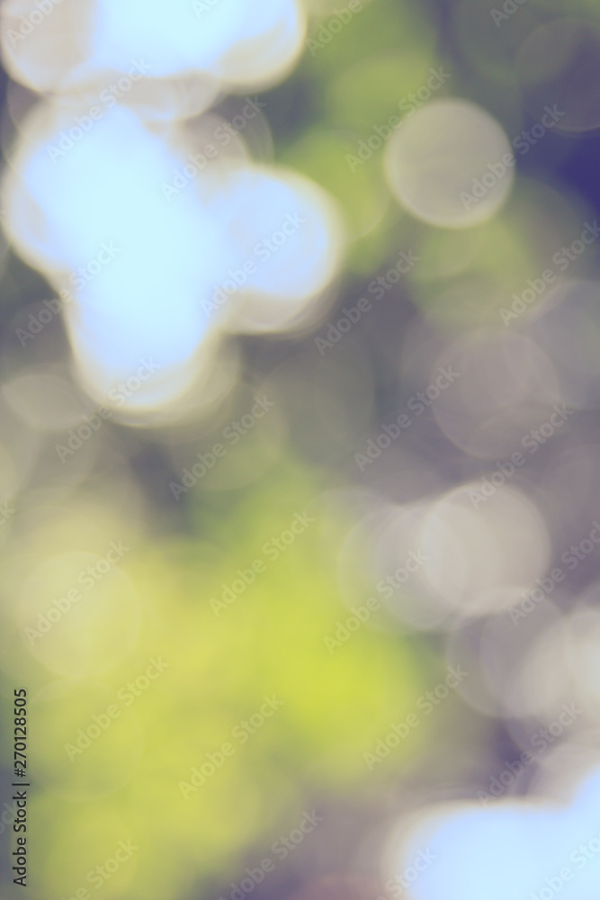 Obraz premium Abstract natural green bokeh out of focus