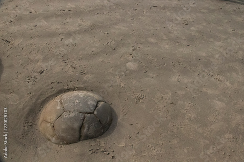 Large and spherical Moeraki Boulders, are surrounded by soft-brown sand in Moeraki in South Island of New Zealand