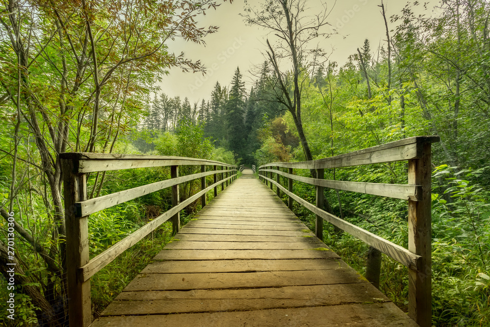 The Boardwalk