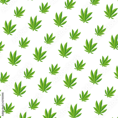 cannabis leafs plants pattern background