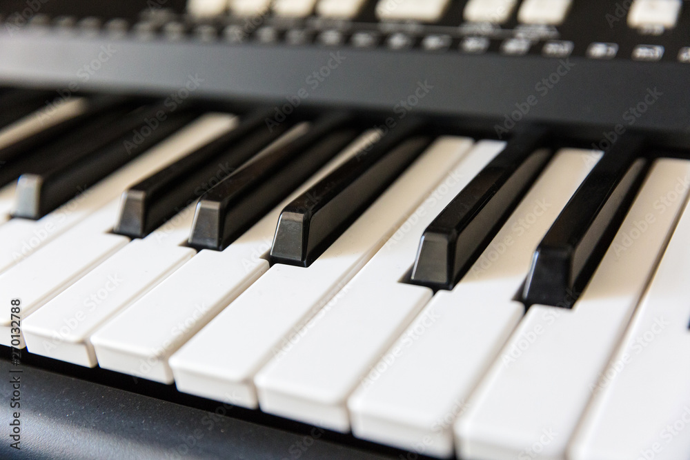 Black and white keys close-up, piano, keyboard, accordion Black and white keys close-up, piano, keyboard, accordion