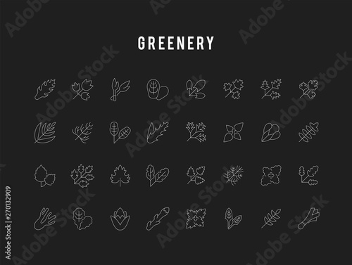 Set Vector Line Icons of Spices and Seasonings