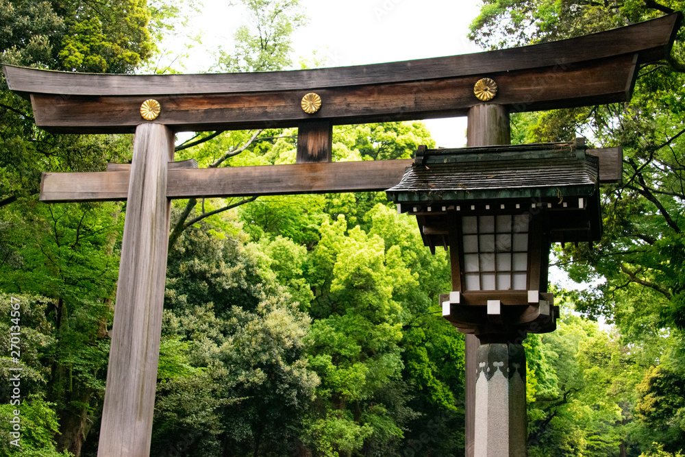 Japanese Gate