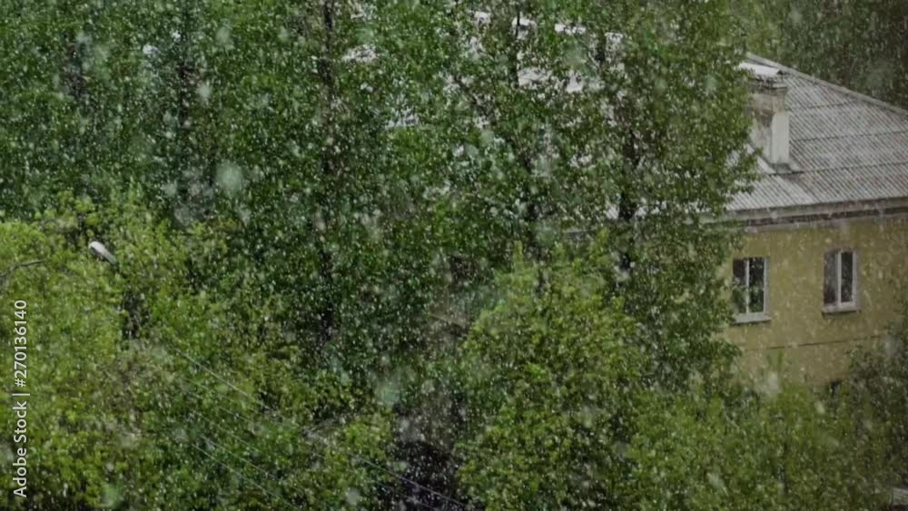 global climate change. summer snow falling on the background of green trees in the city global climate change. summer snow falling on the background of green trees in the city