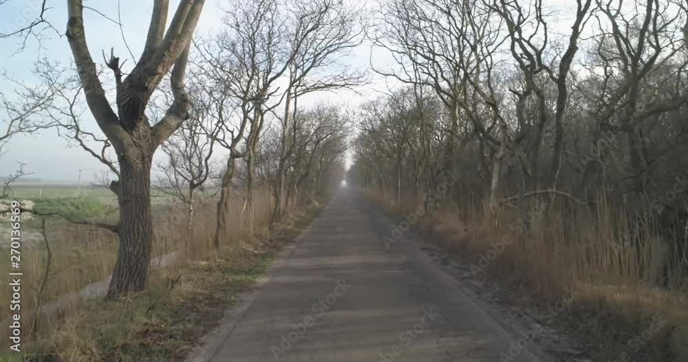 Drone dolly shot through a abandoned road Drone dolly shot through a abandoned road
