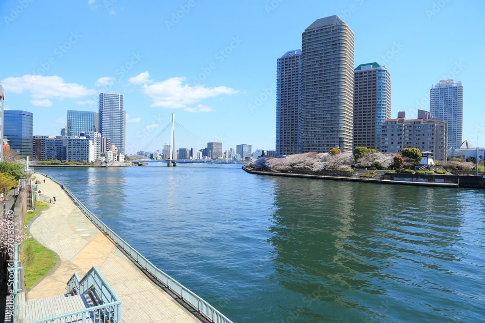 Naklejka premium 隅田川沿いに建ち並ぶ高層マンション群
