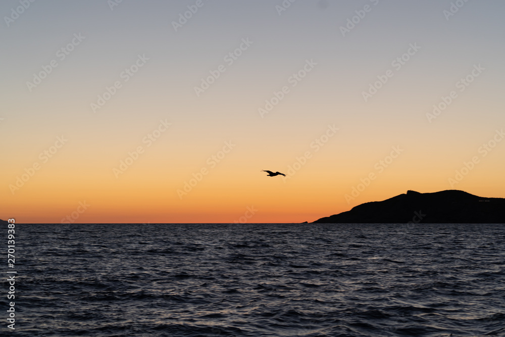 Volando en el ocaso