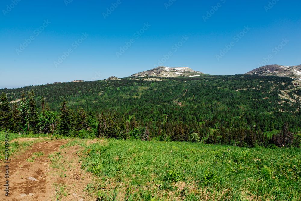 Summer mountain landscape with clear blue sky and mountain with snow on horizon.