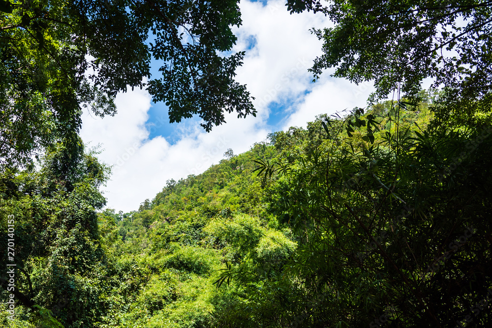  tropical green mountain forest and cloudy sky.