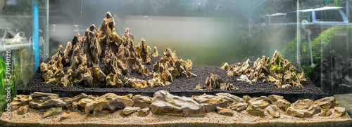 фотографія dragon stone arrangement on soil substrate .