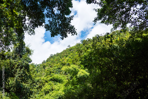  tropical green mountain forest and cloudy sky.