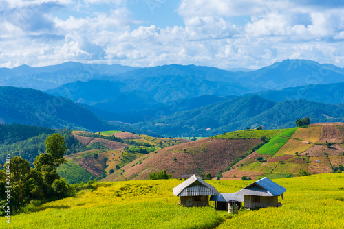 Φωτογραφία the terraced golden rice field with sky.