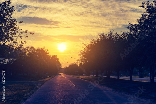 image of road with trees on both sides.