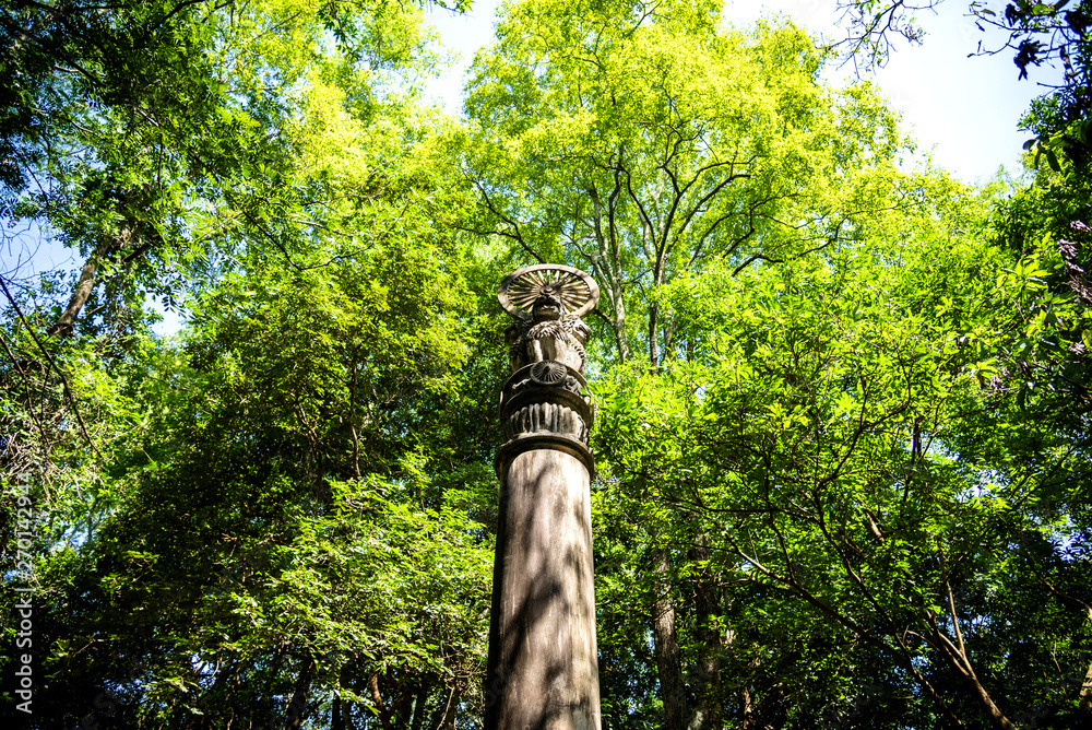 Fototapeta premium Pillar of Ashoka in Chiang Mai, Thailand.