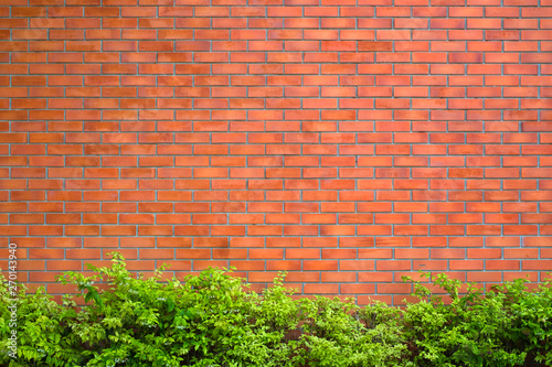Red brick wall fragment background with green plant. © pookpiik