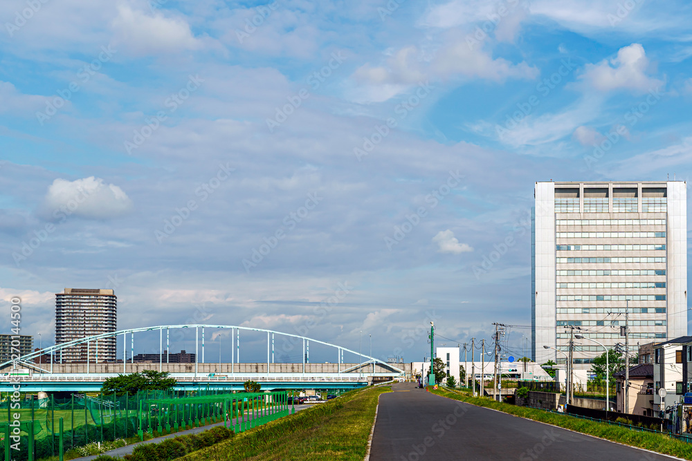 多摩川サイクリングロードから多摩川大橋を見る