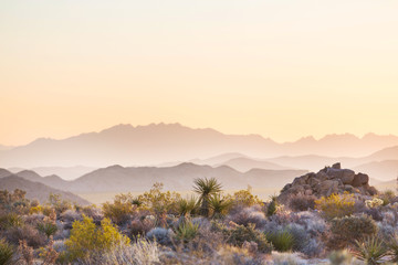 Rideaux Beige Panoramas sauvages de l'Arizona  © Galyna Andrushko