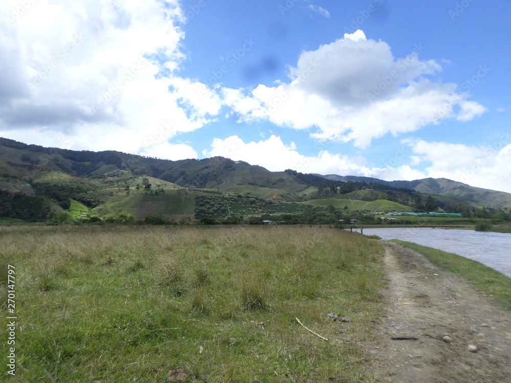 CAMPO CAMPO